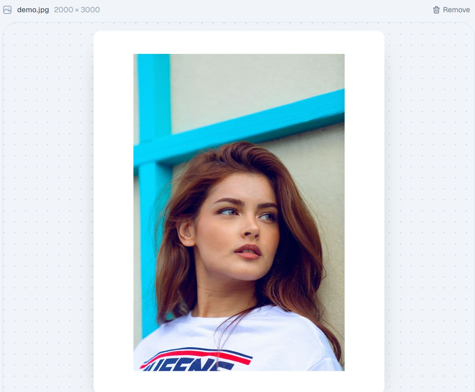 A portrait with a clean white frame and the post preview