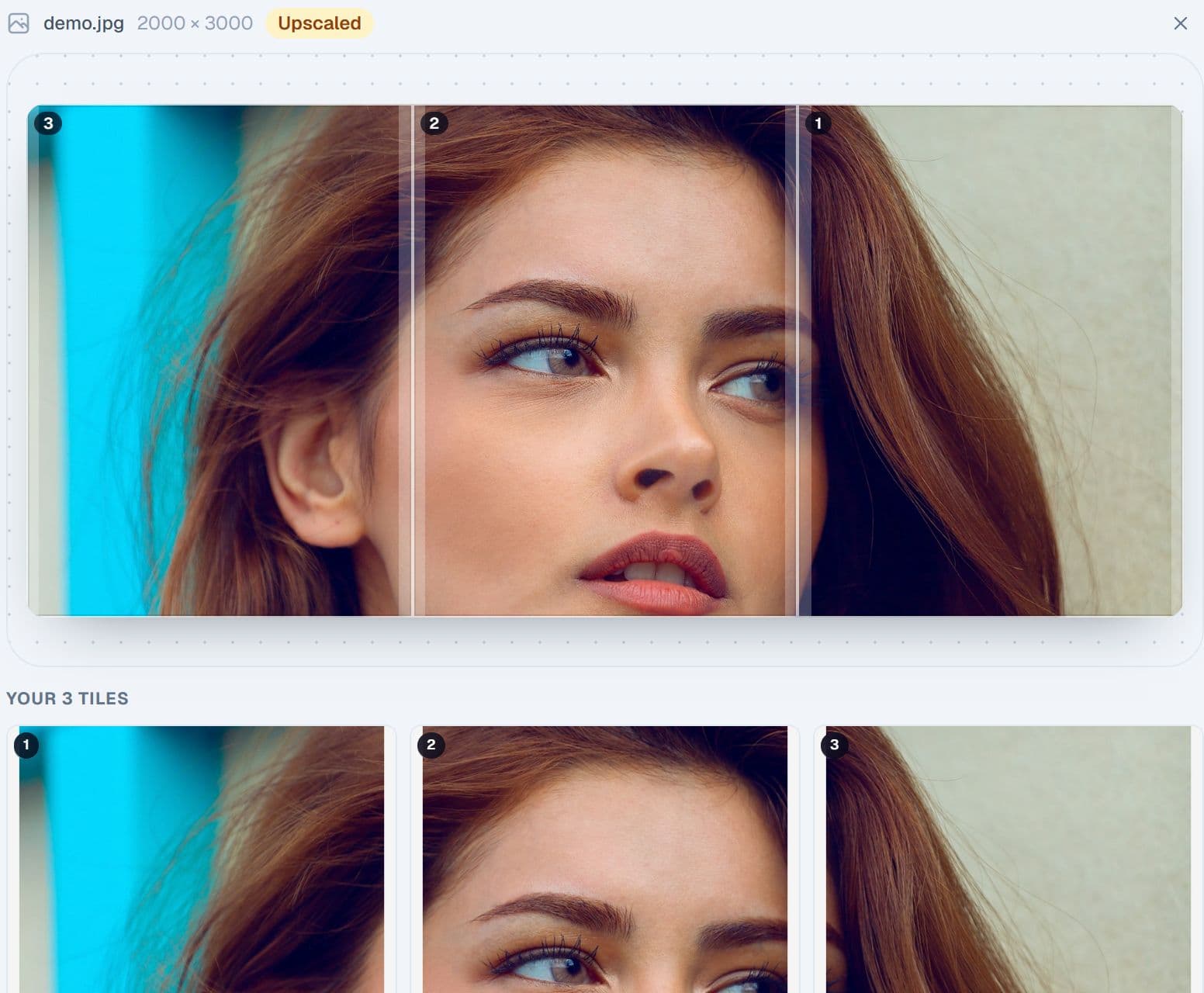 The panorama preset turning a wide photo into carousel slides