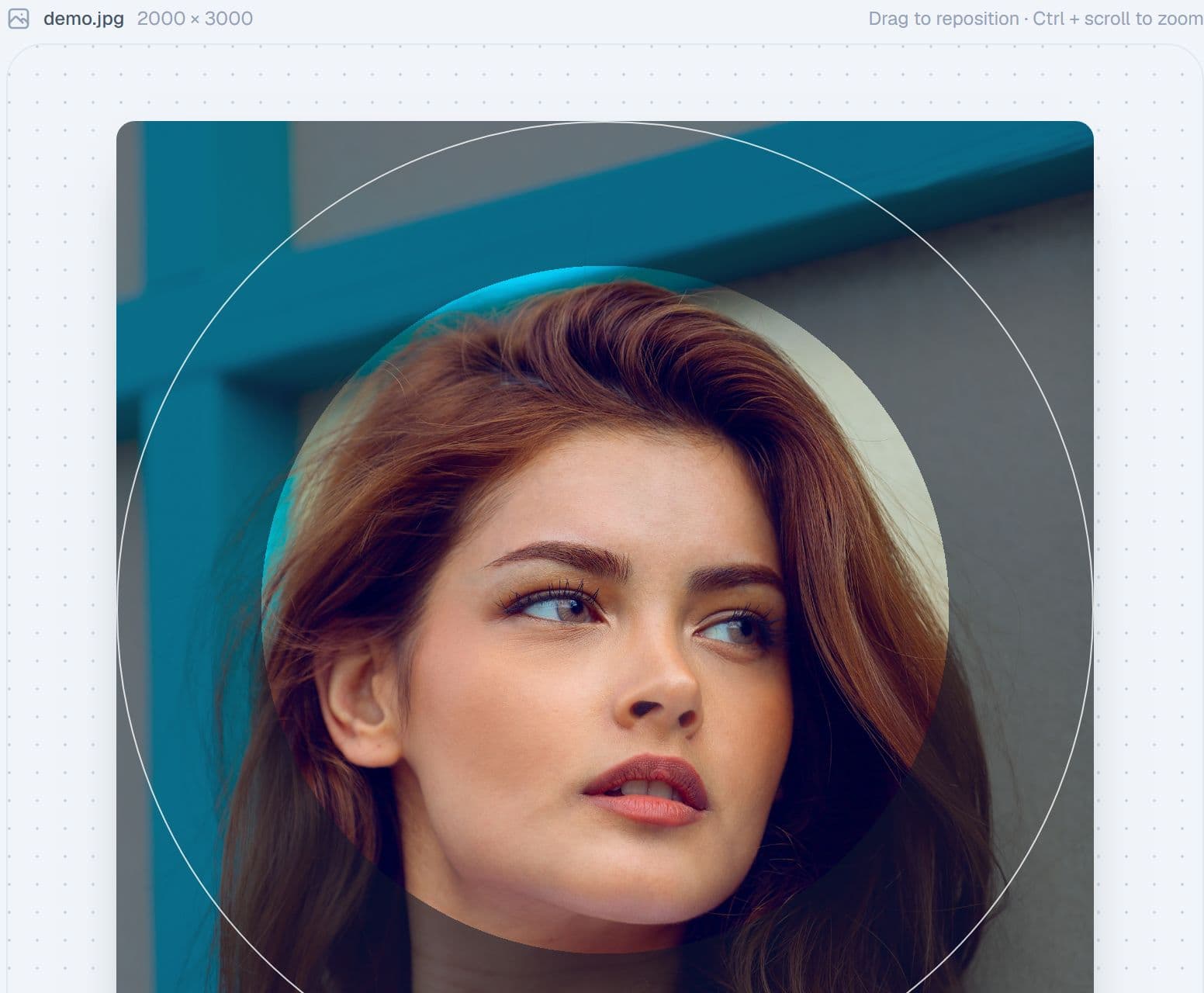 The profile picture maker with a circle crop preview