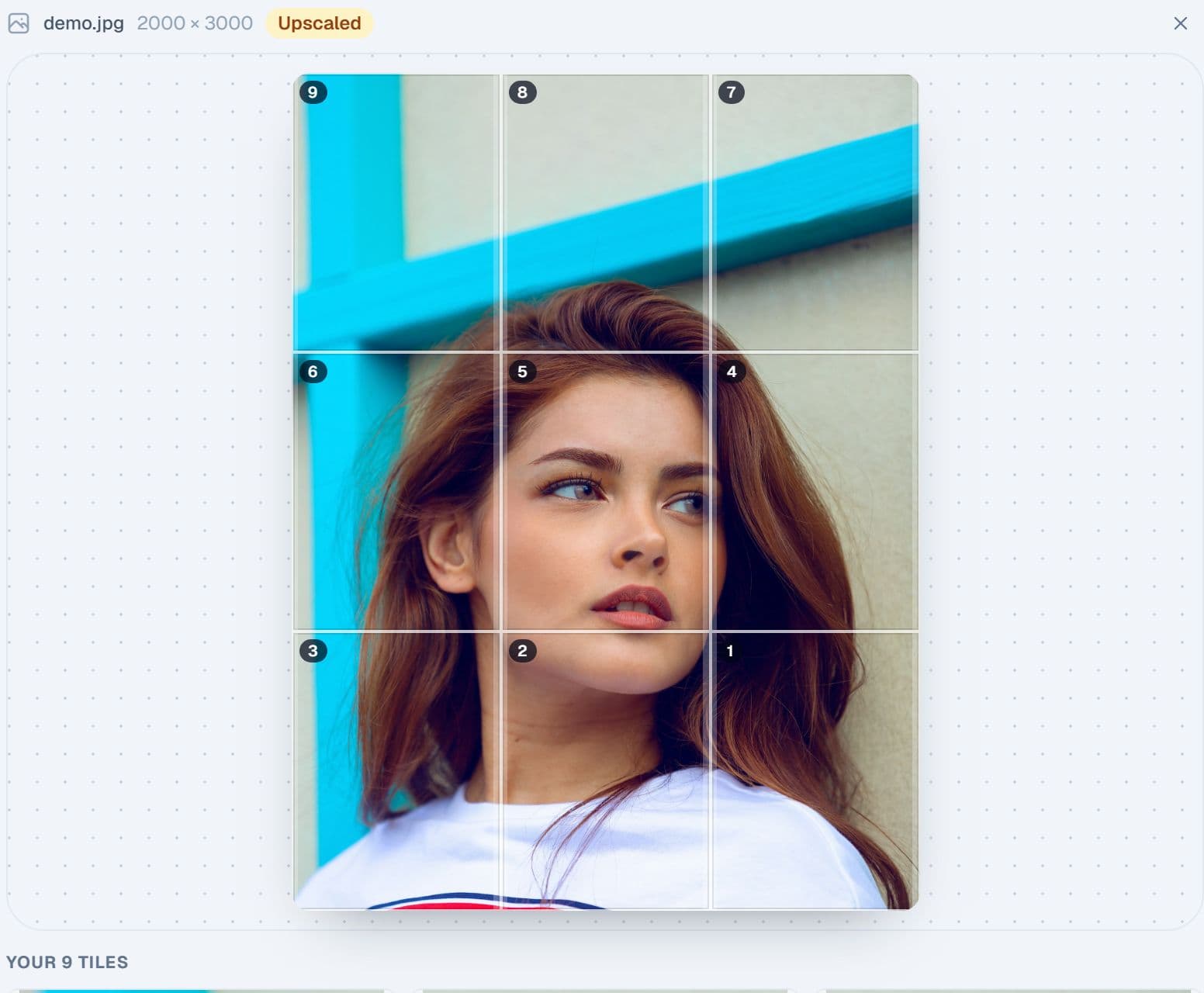 The grid splitter with a portrait divided into nine numbered tiles