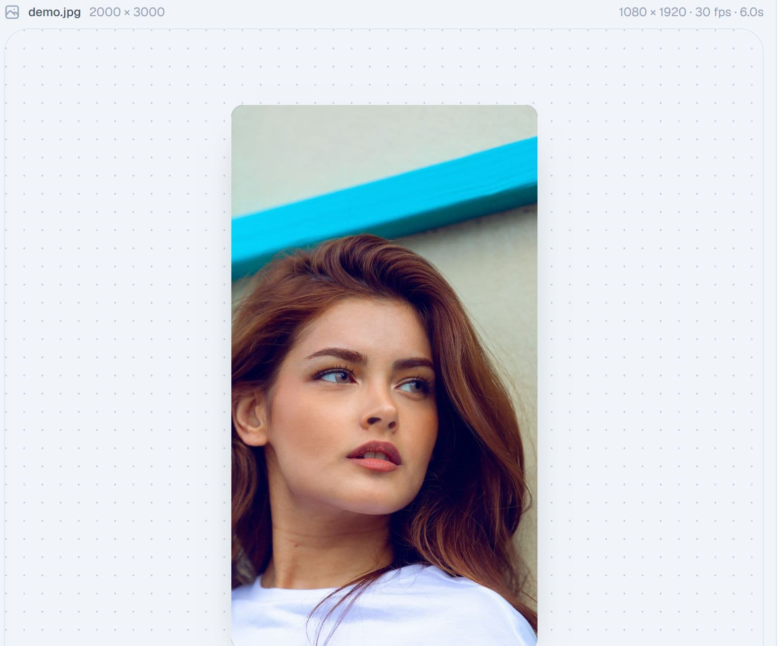 The panorama video editor with a photo and a timeline